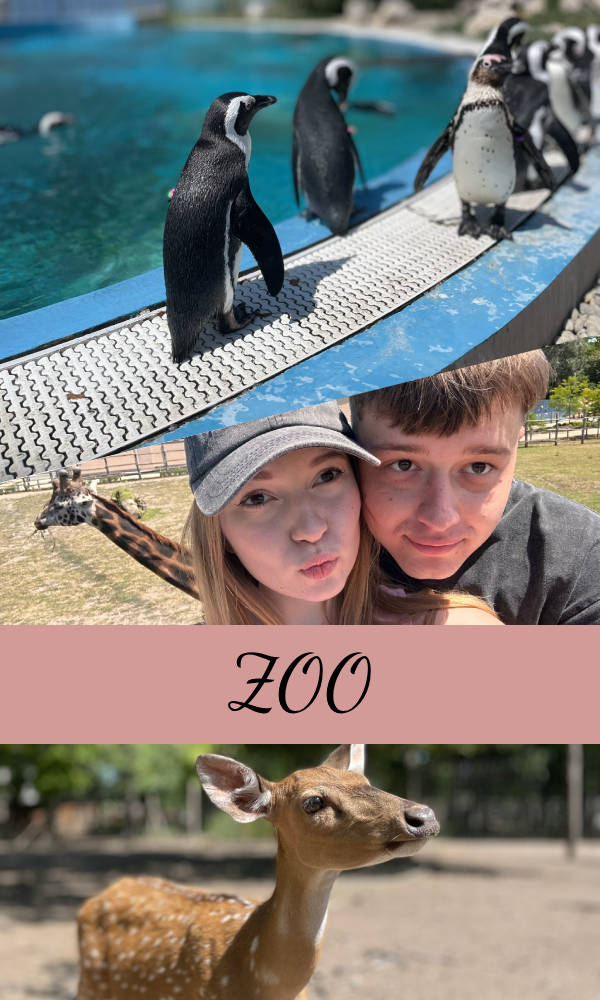 Zoo